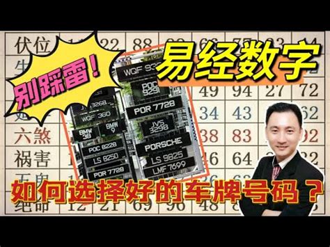 屬兔車牌|屬兔的車牌吉利數字：參考一五六八